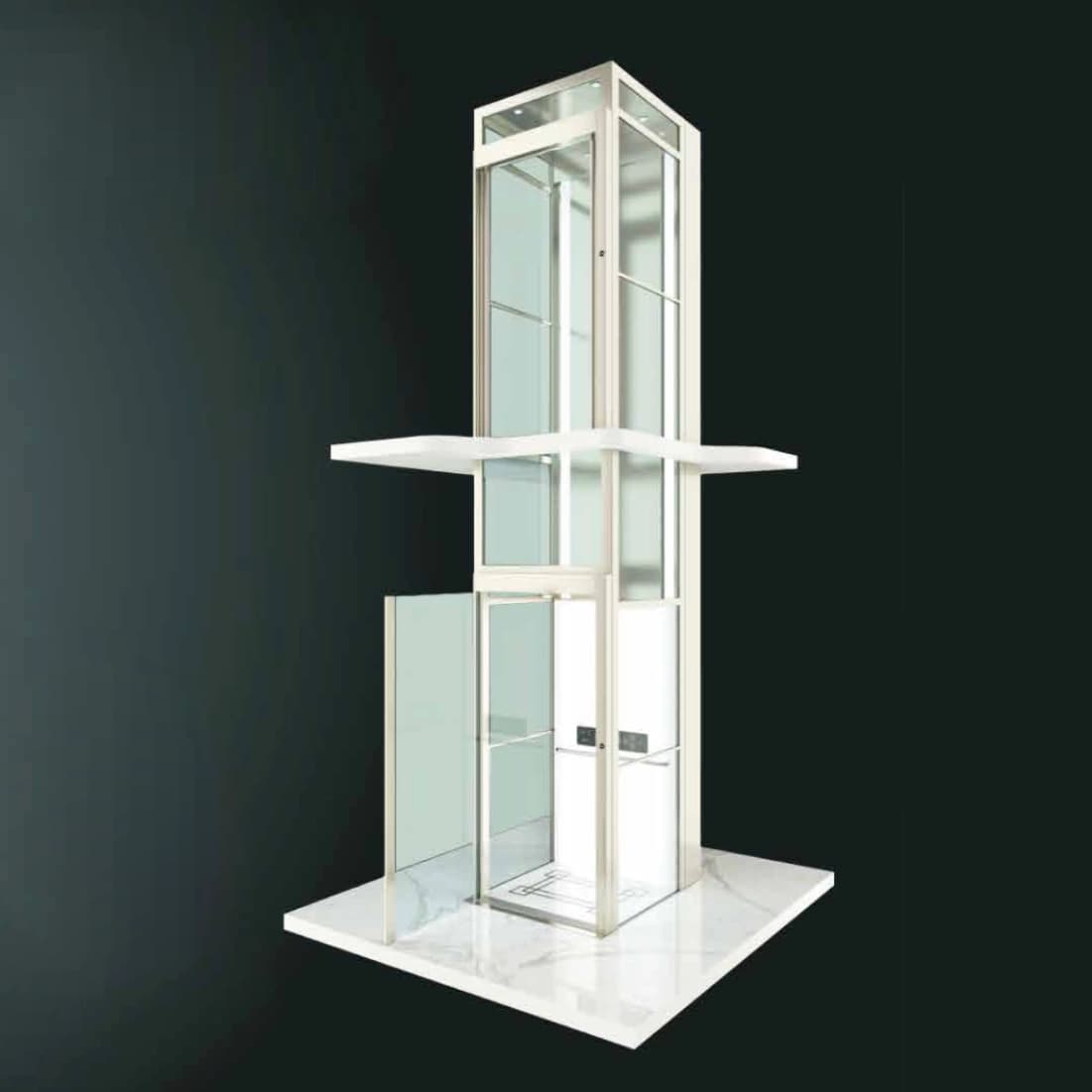 Passenger Lift 1000